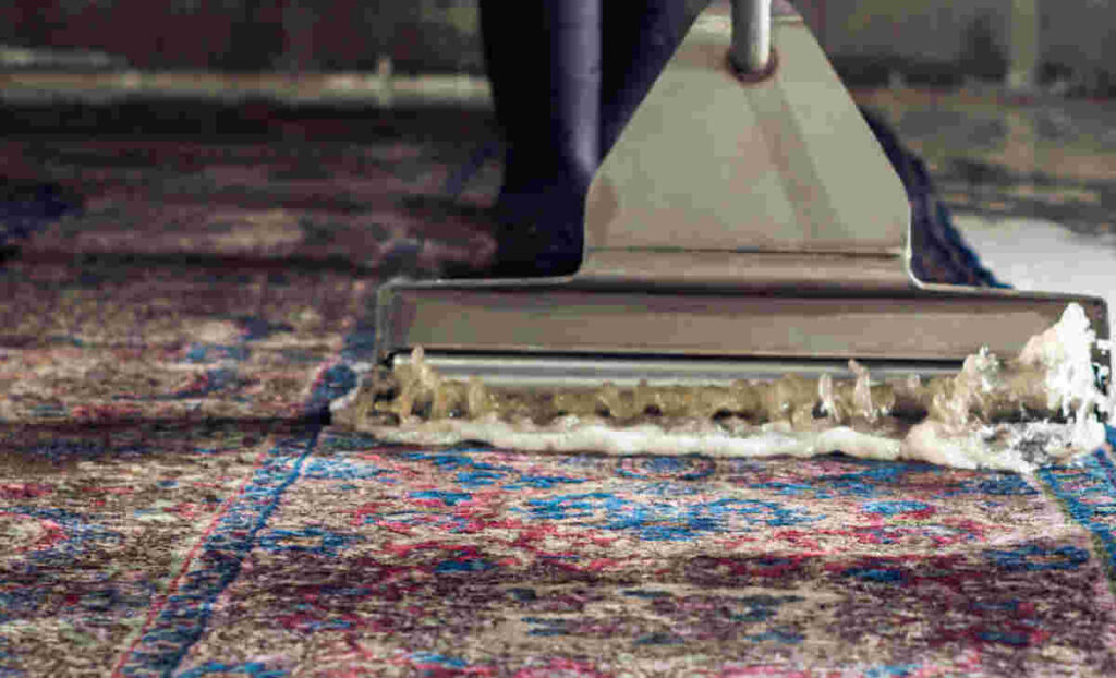 Professional Rug Cleaning: